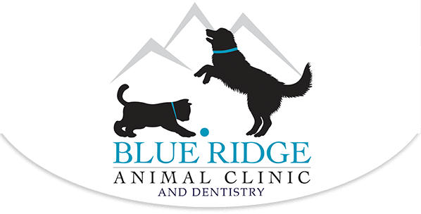 Blue Ridge Animal Clinic, Digital Radiology 