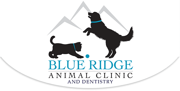 Dental Care for Pets in Montgomery