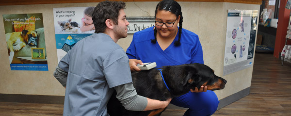 Blue Ridge Animal Clinic